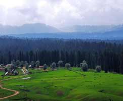 Pahalgam Holiday Package