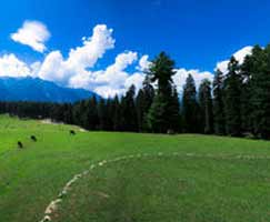 Pahalgam Trip