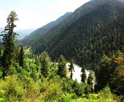 Travel Package Pahalgam