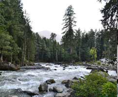 Pahalgam Tour Package