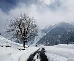 Honeymoon In Pahalgam