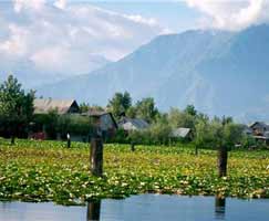 Pahalgam Honeymoon Trip